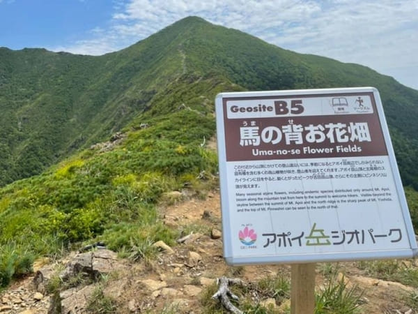 ユネスコ世界ジオパーク認定!高山植物と大絶景を楽しめるアポイ岳を登ろう【北海道】