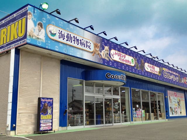 豊橋市の人気ペットショップ11選!サロン・ペットホテル併設の大型店も!