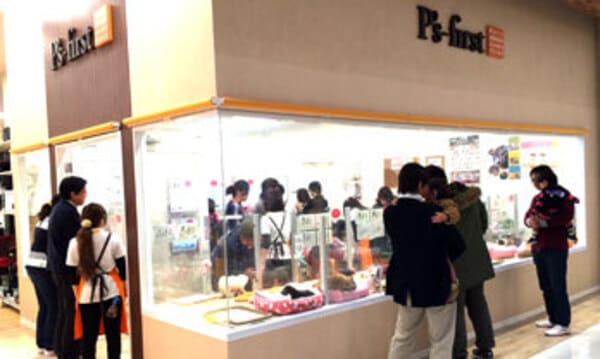 鹿児島市の人気ペットショップ9選!サロン・ペットホテル併設の大型店も!