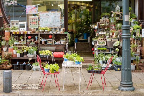 戸田市のおしゃれな花屋11選!便利な駅前店やアレンジ花束が人気な店も!