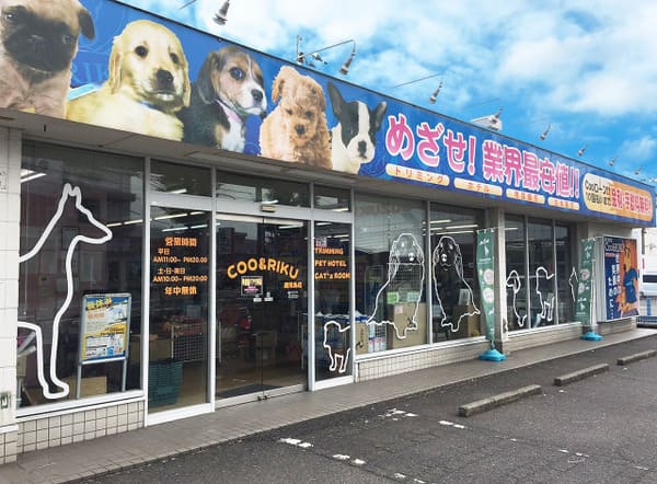 鹿児島市の人気ペットショップ9選!サロン・ペットホテル併設の大型店も!