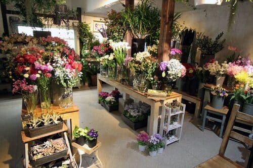 福島市のおしゃれな花屋25選!便利な駅前店やアレンジ花束が人気な店も!