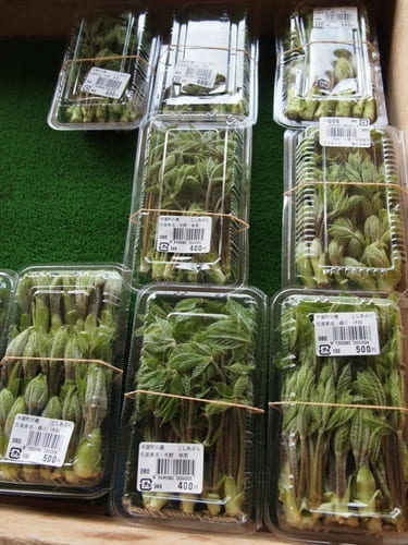 【長野】道の駅日義木曽駒高原で買いたい季節限定お土産7つ!7.jpg