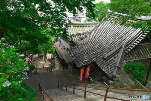 【和歌山】おすすめドライブスポット17選!定番観光地から穴場の絶景スポットまで!