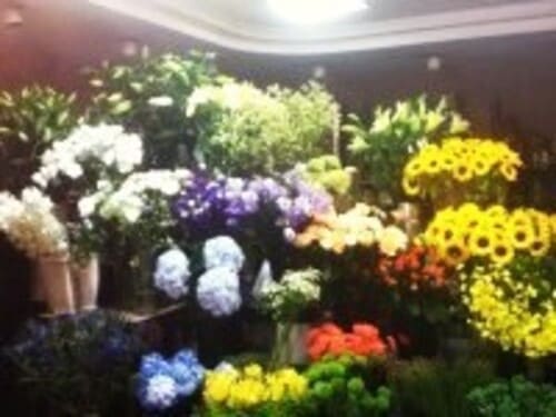 東村山市のおしゃれな花屋11選!便利な駅前店やアレンジ花束が人気な店も!