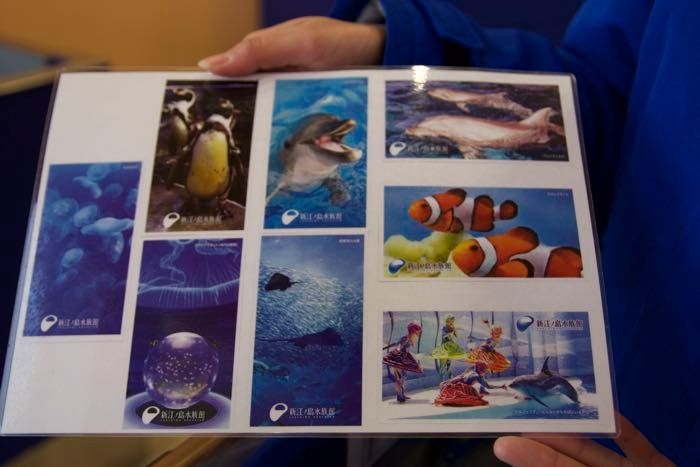 新江ノ島水族館(えのすい)を徹底レポート!120%楽しむ方法!