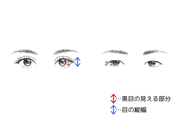 目を大きくする方法