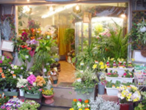 寝屋川市のおしゃれな花屋20選!便利な駅前店やアレンジ花束が人気な店も!