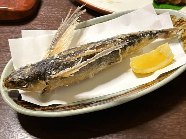 温泉にグルメ、お土産も!屋久島空港周辺のオススメスポット7選