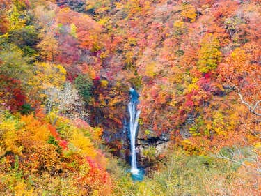 【栃木】日帰りドライブスポット20選!おすすめ観光地や絶景スポットを紹介!