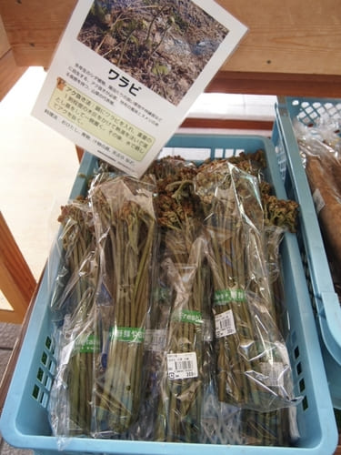 【長野】道の駅日義木曽駒高原で買いたい季節限定お土産7つ!6.jpg