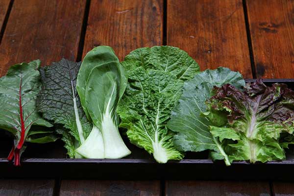 韓国の健康食「生食」「禅食」を知ろう