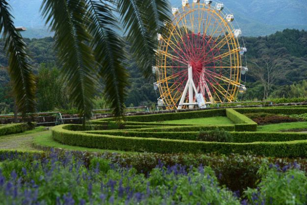 「とくしま動物園北島建設の森」の魅力を徹底解説!アクセスや周辺情報も盛りだくさん