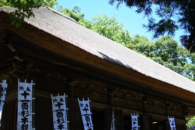 コケ好きにはタマラナイ!鎌倉最古のお寺【杉本寺】で苔写真を楽しむ1.jpg