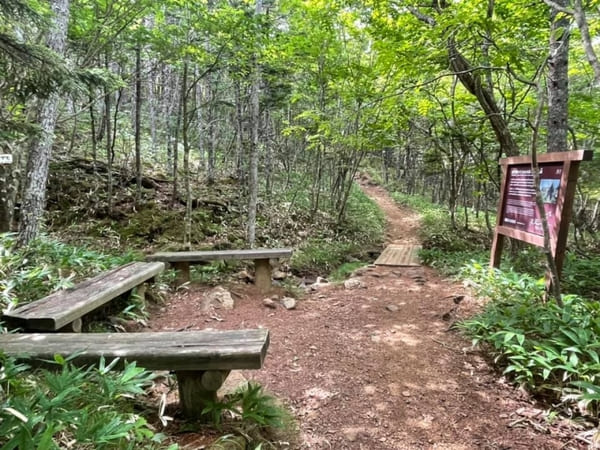 ユネスコ世界ジオパーク認定!高山植物と大絶景を楽しめるアポイ岳を登ろう【北海道】