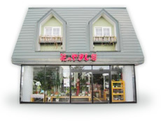 苫小牧市のおしゃれな花屋13選!便利な駅前店やアレンジ花束が人気な店も!