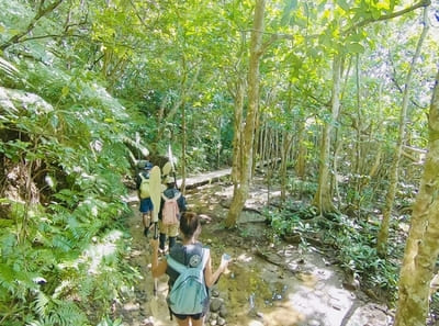 【八重山・西表島観光】大自然を満喫しよう!西表島の楽しみ方を徹底解説!(沖縄)1.jpg