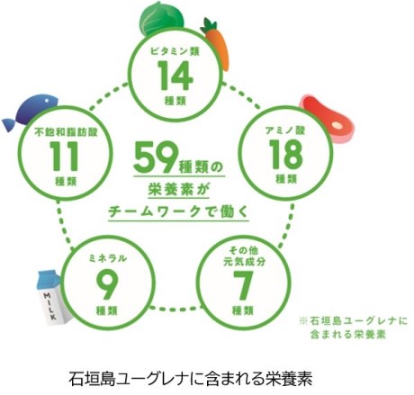 ユーグレナで免疫力アップ!健康の基礎力を高めるアイテム&レシピ