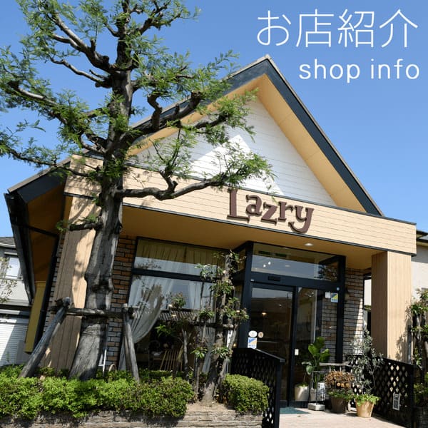 刈谷市のケーキ屋おすすめ14選!誕生日・手土産に人気な駅チカ店も!