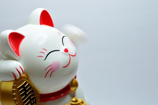 猫につける縁起のいい名前30選!毛色や珍しい模様を参考にした名前を紹介