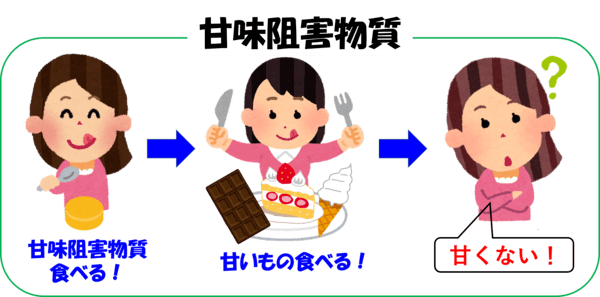味覚修飾物質とは?~ギムネマ、ミラクリン等の味覚修飾物質の例~