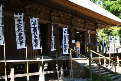 コケ好きにはタマラナイ!鎌倉最古のお寺【杉本寺】で苔写真を楽しむ1.jpg