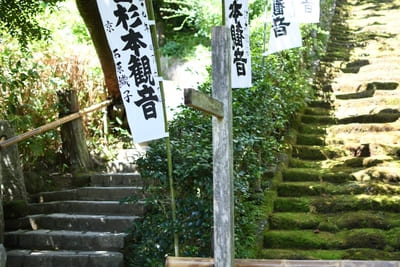 コケ好きにはタマラナイ!鎌倉最古のお寺【杉本寺】で苔写真を楽しむ1.jpg