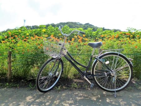 妊娠初期に自転車に乗って大丈夫?妊婦が乗ると流産の原因になる?