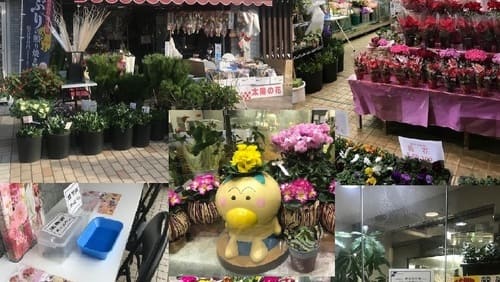 秦野市のおしゃれな花屋13選!便利な駅前店やアレンジ花束が人気な店も!