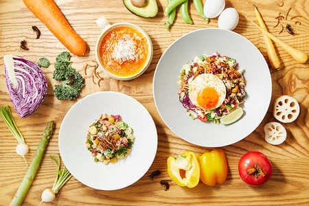 暗闇ボクシングの生みの親・塚田眞琴が“昆虫食レストラン”をオープン!「人生の選択肢を増やす」