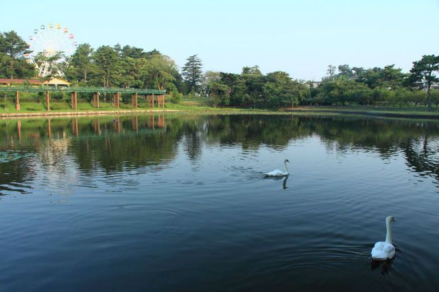 名古屋周辺で絶対に遊びたい遊園地&テーマパーク9選!プールからアトラクションまで楽しさ満喫