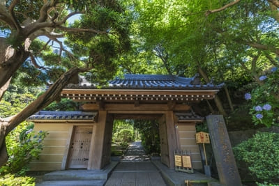 日本の美に酔いしれる!美しい竹の寺・報国寺の見どころ1.jpg