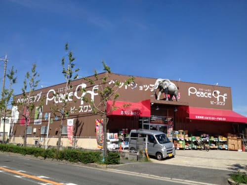 八尾市の人気ペットショップ10選!ペットサロンやホテル併設の大型店も!