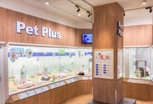 成田市周辺のペットショップ人気10選!サロンやホテル併設の大型店も!