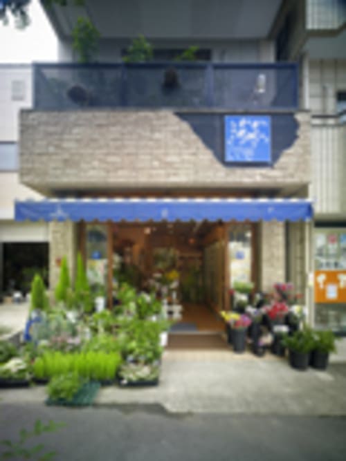 長崎市のおしゃれな花屋25選!便利な駅前店やアレンジ花束が人気な店も!