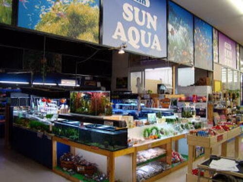弘前市の人気ペットショップ10選!ペットサロンやホテル併設の大型店も!