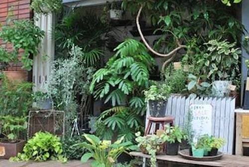 戸田市のおしゃれな花屋11選!便利な駅前店やアレンジ花束が人気な店も!