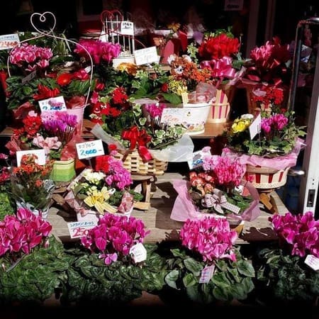 岸和田市のおしゃれな花屋11選!便利な駅前店やアレンジ花束が人気な店も!