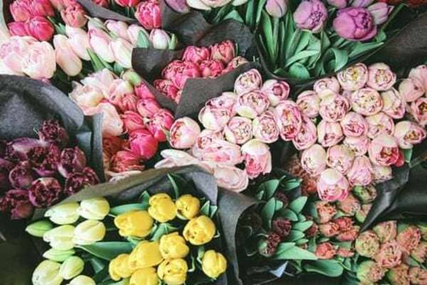 宝塚市のおすすめ花屋16選!おしゃれな駅前店やギフトアレンジが人気な店も!