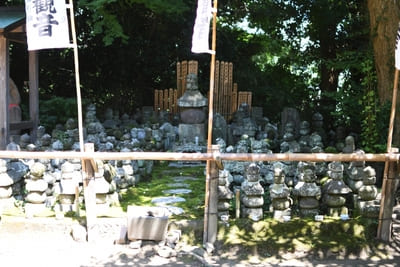 コケ好きにはタマラナイ!鎌倉最古のお寺【杉本寺】で苔写真を楽しむ1.jpg