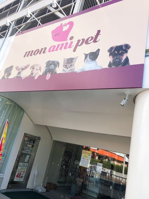 八尾市の人気ペットショップ10選!ペットサロンやホテル併設の大型店も!