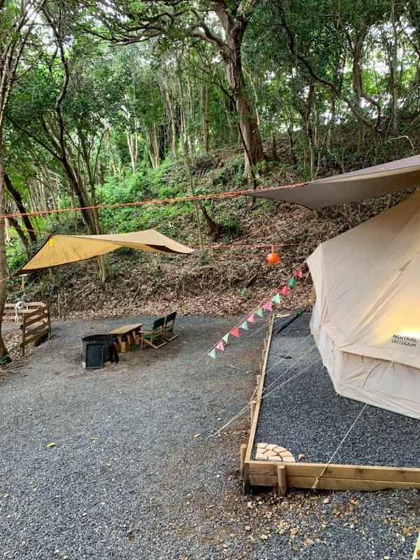 TASO FOREST CAMP