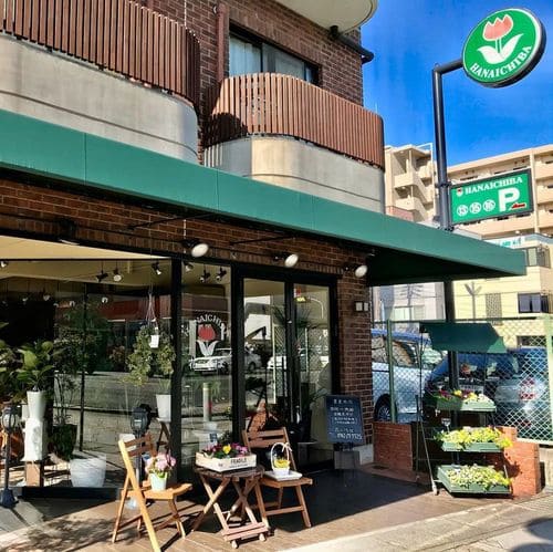 奈良市のおすすめ花屋20選!おしゃれな駅前店やギフトアレンジが人気な店も!