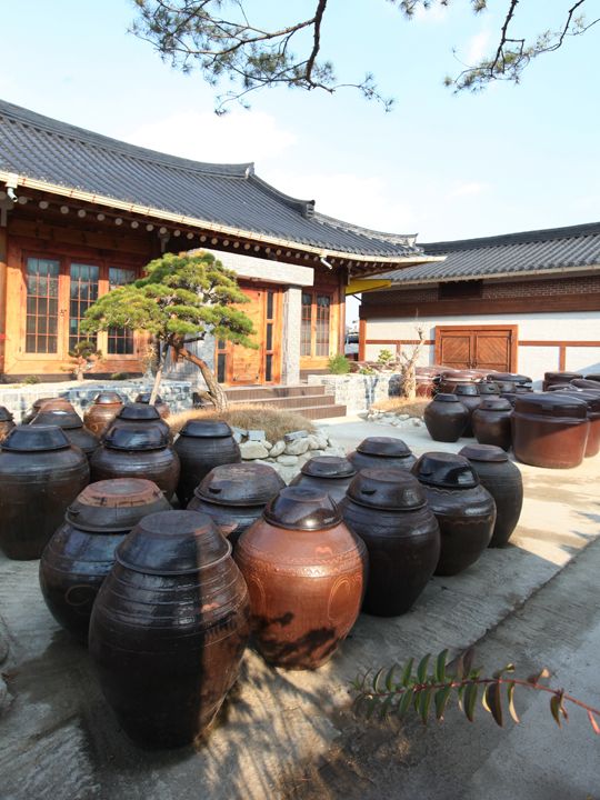 韓国の醤(ジャン) 第1回コチュジャン