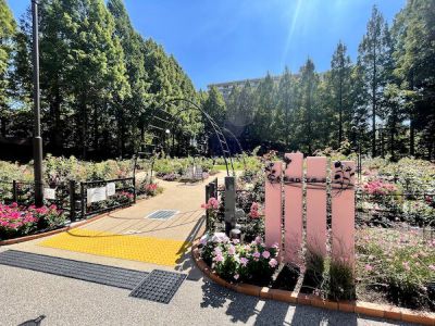 夏休みの自由研究のヒントにも!「練馬区立 四季の香ローズガーデン」でイベント開催