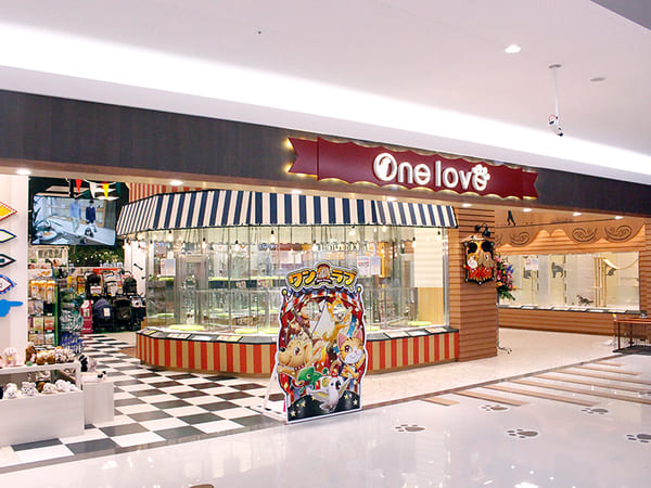 熊本県の大型ペットショップ20選!サロンやペットホテル併設の大型店も!