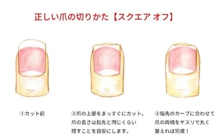 爪切りや靴下で簡単にできる「足のトラブル予防ケア」を実践しよう!