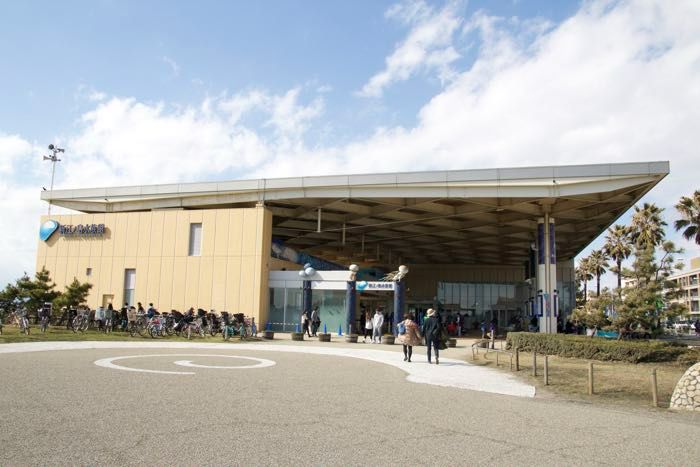 新江ノ島水族館(えのすい)を徹底レポート!120%楽しむ方法!