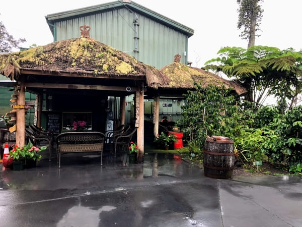 【ハワイ島】コナコーストをの〜んびり巡る♪おすすめコーヒー園6選