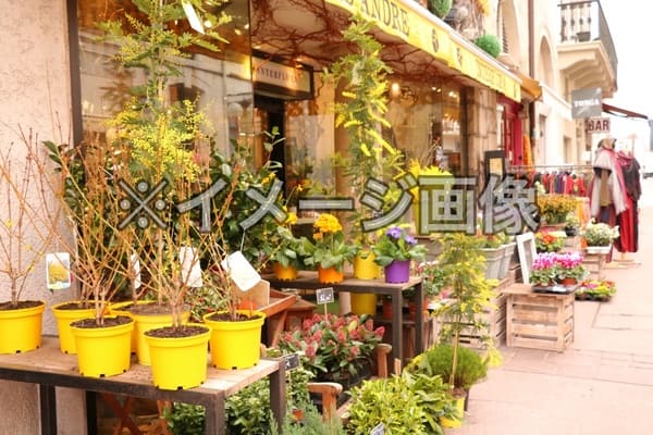 上尾のおしゃれな花屋11選!便利な駅前店やギフトアレンジが人気な店も!